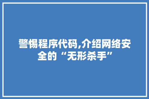 警惕程序代码,介绍网络安全的“无形杀手”