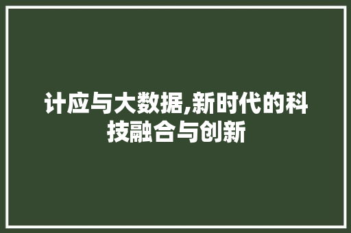计应与大数据,新时代的科技融合与创新