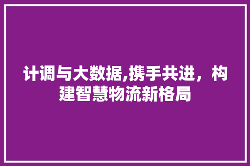 计调与大数据,携手共进，构建智慧物流新格局