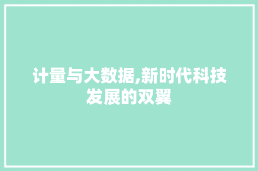 计量与大数据,新时代科技发展的双翼