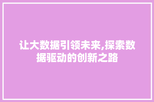 让大数据引领未来,探索数据驱动的创新之路