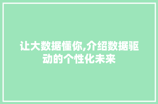 让大数据懂你,介绍数据驱动的个性化未来