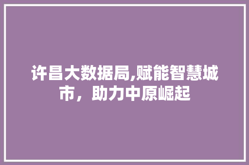 许昌大数据局,赋能智慧城市，助力中原崛起