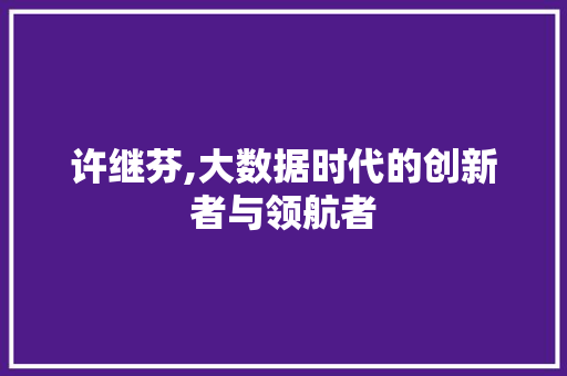 许继芬,大数据时代的创新者与领航者