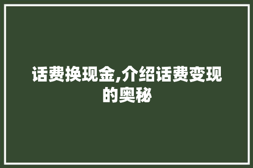 话费换现金,介绍话费变现的奥秘