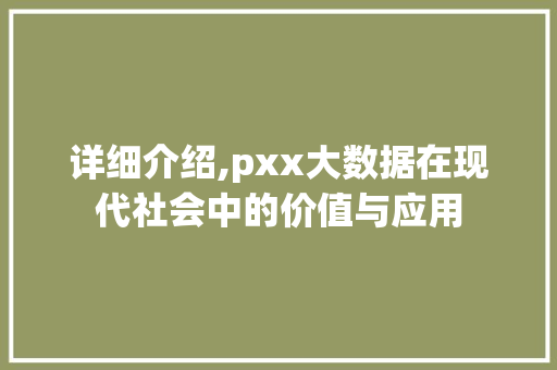 详细介绍,pxx大数据在现代社会中的价值与应用