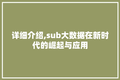 详细介绍,sub大数据在新时代的崛起与应用