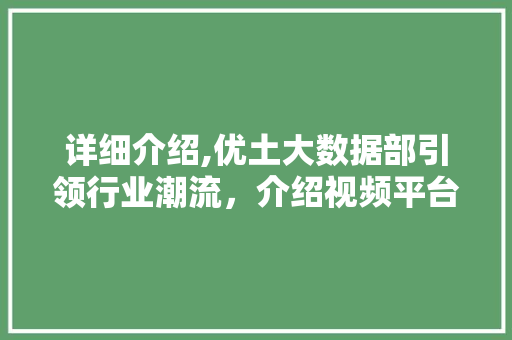 详细介绍,优土大数据部引领行业潮流，介绍视频平台数据运营之路