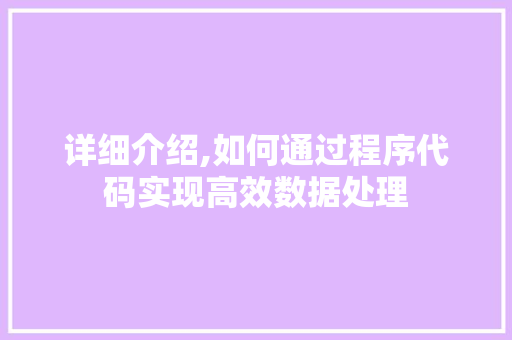 详细介绍,如何通过程序代码实现高效数据处理