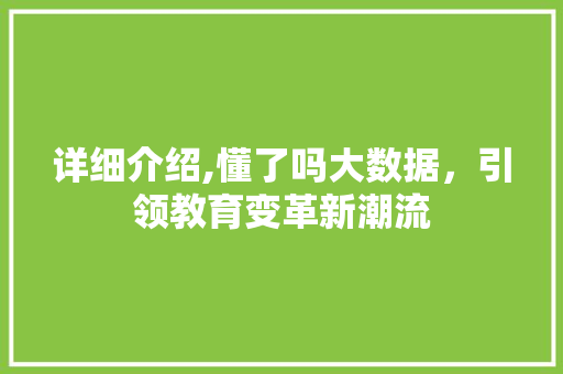 详细介绍,懂了吗大数据，引领教育变革新潮流 GoogleSEO