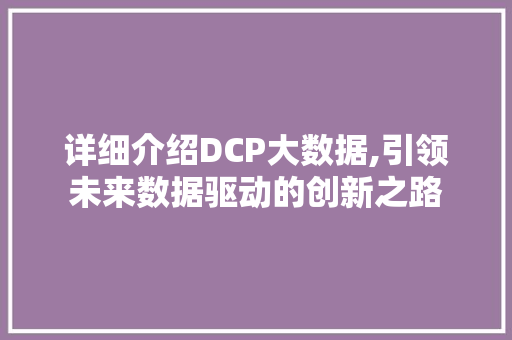详细介绍DCP大数据,引领未来数据驱动的创新之路 GoogleSEO