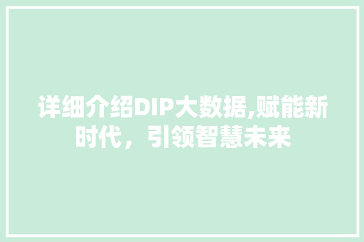 详细介绍DIP大数据,赋能新时代，引领智慧未来