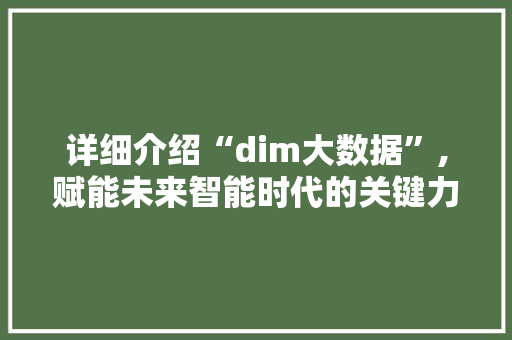 详细介绍“dim大数据”,赋能未来智能时代的关键力量