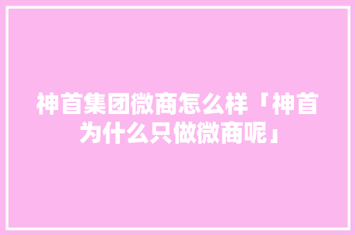 神首集团微商怎么样「神首为什么只做微商呢」