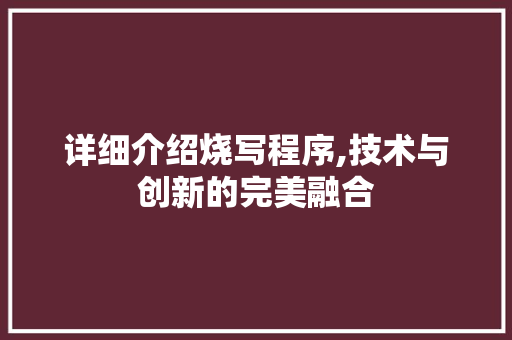 详细介绍烧写程序,技术与创新的完美融合 GoogleSEO