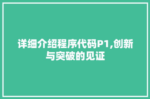 详细介绍程序代码P1,创新与突破的见证