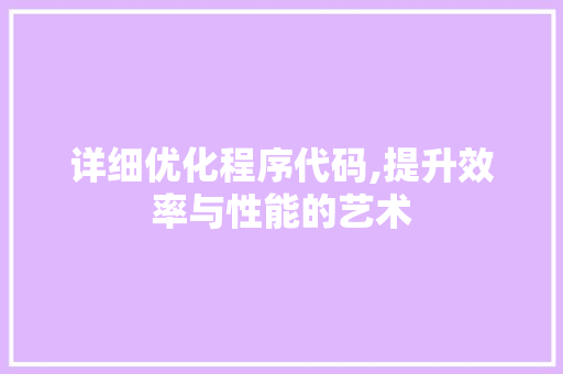 详细优化程序代码,提升效率与性能的艺术
