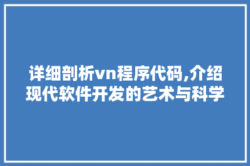 详细剖析vn程序代码,介绍现代软件开发的艺术与科学