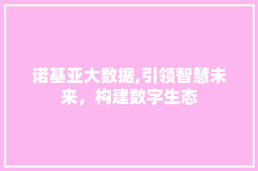 诺基亚大数据,引领智慧未来，构建数字生态