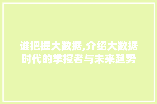 谁把握大数据,介绍大数据时代的掌控者与未来趋势