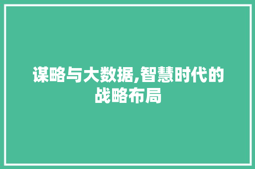 谋略与大数据,智慧时代的战略布局