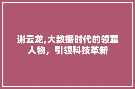 谢云龙,大数据时代的领军人物，引领科技革新
