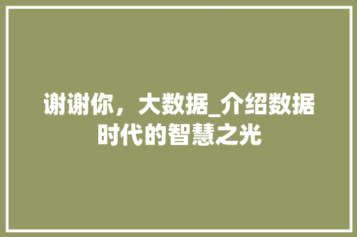 谢谢你，大数据_介绍数据时代的智慧之光