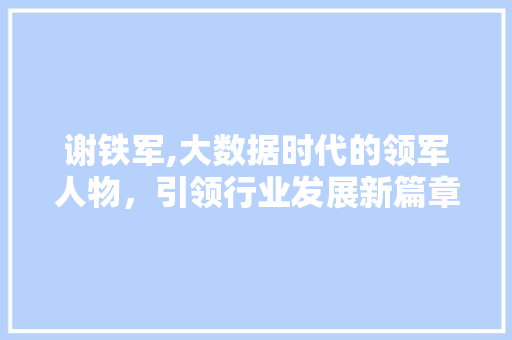 谢铁军,大数据时代的领军人物，引领行业发展新篇章