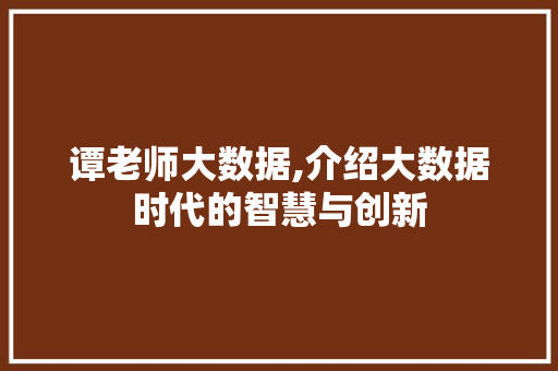 谭老师大数据,介绍大数据时代的智慧与创新