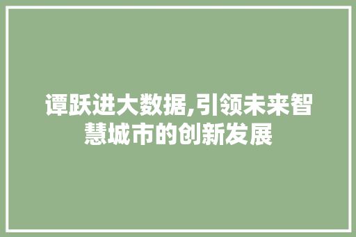 谭跃进大数据,引领未来智慧城市的创新发展