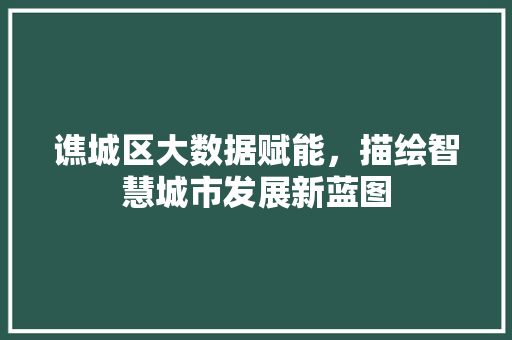 谯城区大数据赋能，描绘智慧城市发展新蓝图