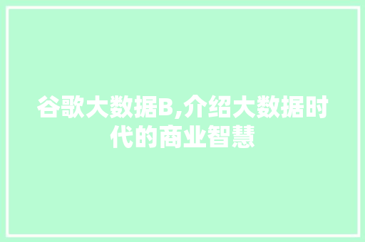 谷歌大数据B,介绍大数据时代的商业智慧