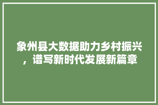 象州县大数据助力乡村振兴，谱写新时代发展新篇章