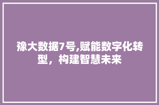 豫大数据7号,赋能数字化转型，构建智慧未来