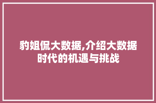 豹姐侃大数据,介绍大数据时代的机遇与挑战