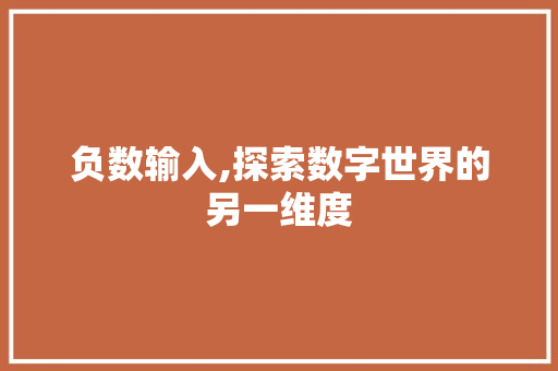 负数输入,探索数字世界的另一维度