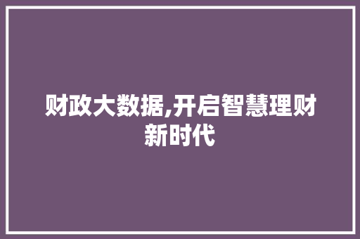 财政大数据,开启智慧理财新时代