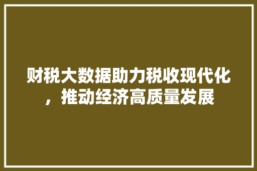 财税大数据助力税收现代化，推动经济高质量发展