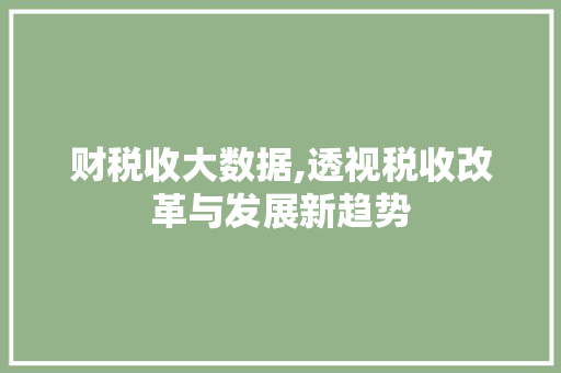财税收大数据,透视税收改革与发展新趋势