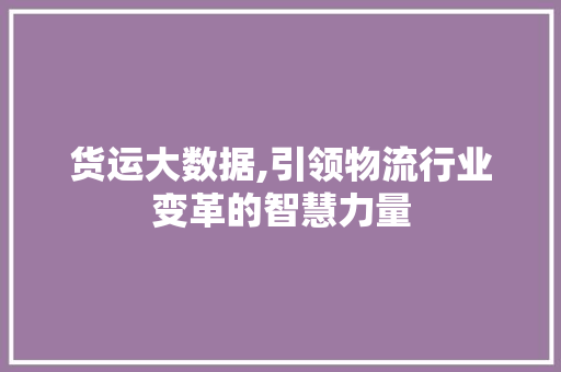 货运大数据,引领物流行业变革的智慧力量