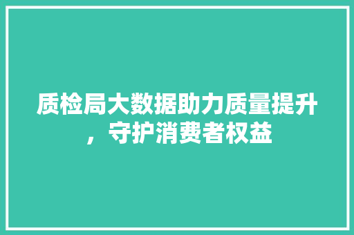 质检局大数据助力质量提升，守护消费者权益