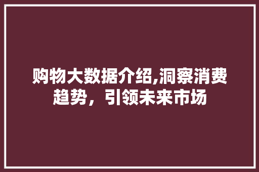 购物大数据介绍,洞察消费趋势，引领未来市场