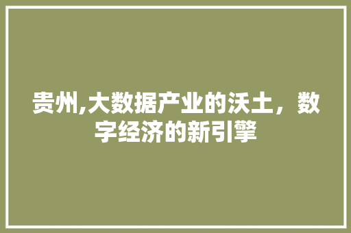 贵州,大数据产业的沃土，数字经济的新引擎