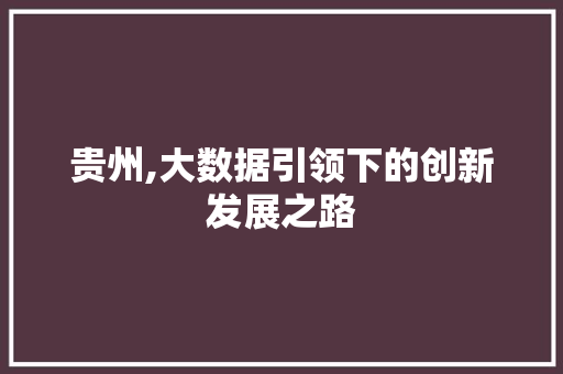 贵州,大数据引领下的创新发展之路
