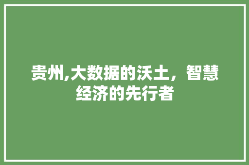 贵州,大数据的沃土，智慧经济的先行者