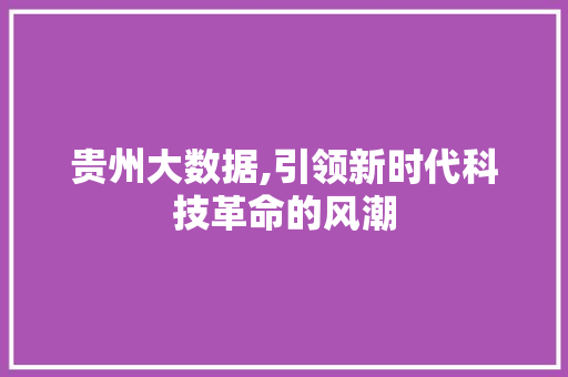 贵州大数据,引领新时代科技革命的风潮