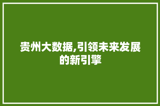 贵州大数据,引领未来发展的新引擎