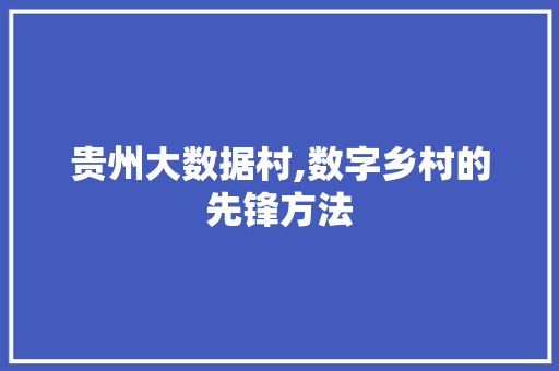 贵州大数据村,数字乡村的先锋方法 GoogleSEO