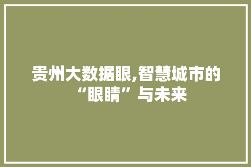 贵州大数据眼,智慧城市的“眼睛”与未来 神马SEO