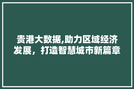 贵港大数据,助力区域经济发展，打造智慧城市新篇章